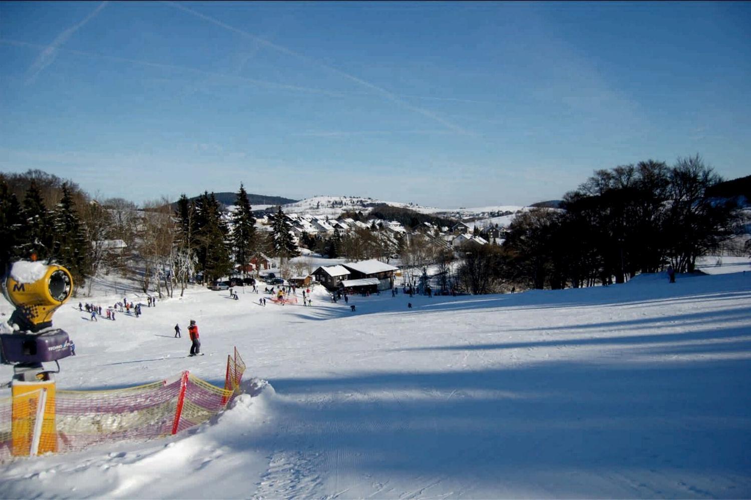 Ferienhaus Diemelquelle - Mit Eingezaeuntem Garten Willingen  Exterior foto