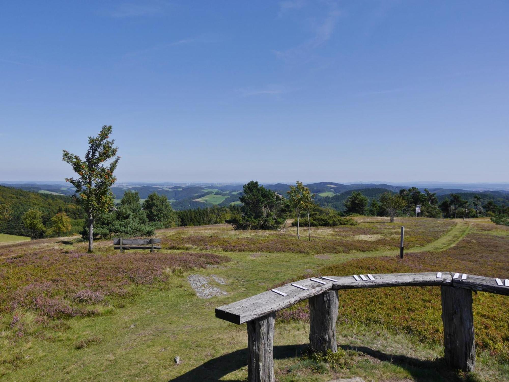 Ferienhaus Diemelquelle - Mit Eingezaeuntem Garten Willingen  Exterior foto