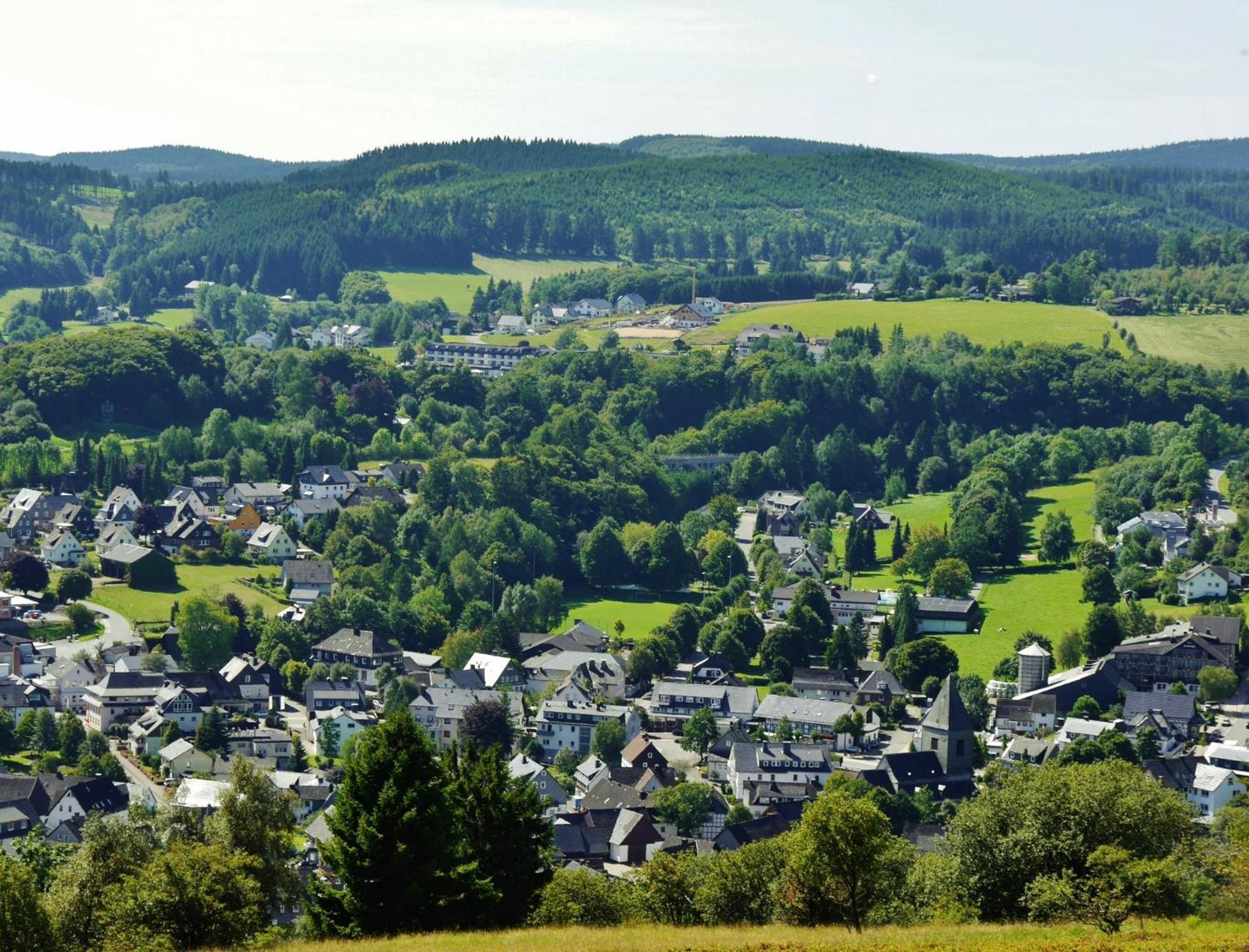 Ferienhaus Diemelquelle - Mit Eingezaeuntem Garten Willingen  Exterior foto