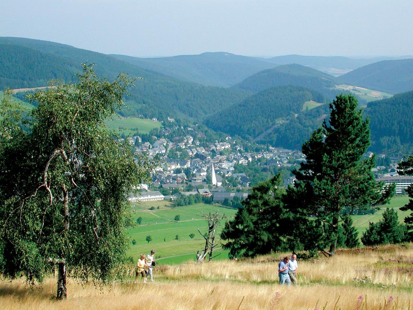 Ferienhaus Diemelquelle - Mit Eingezaeuntem Garten Willingen  Exterior foto