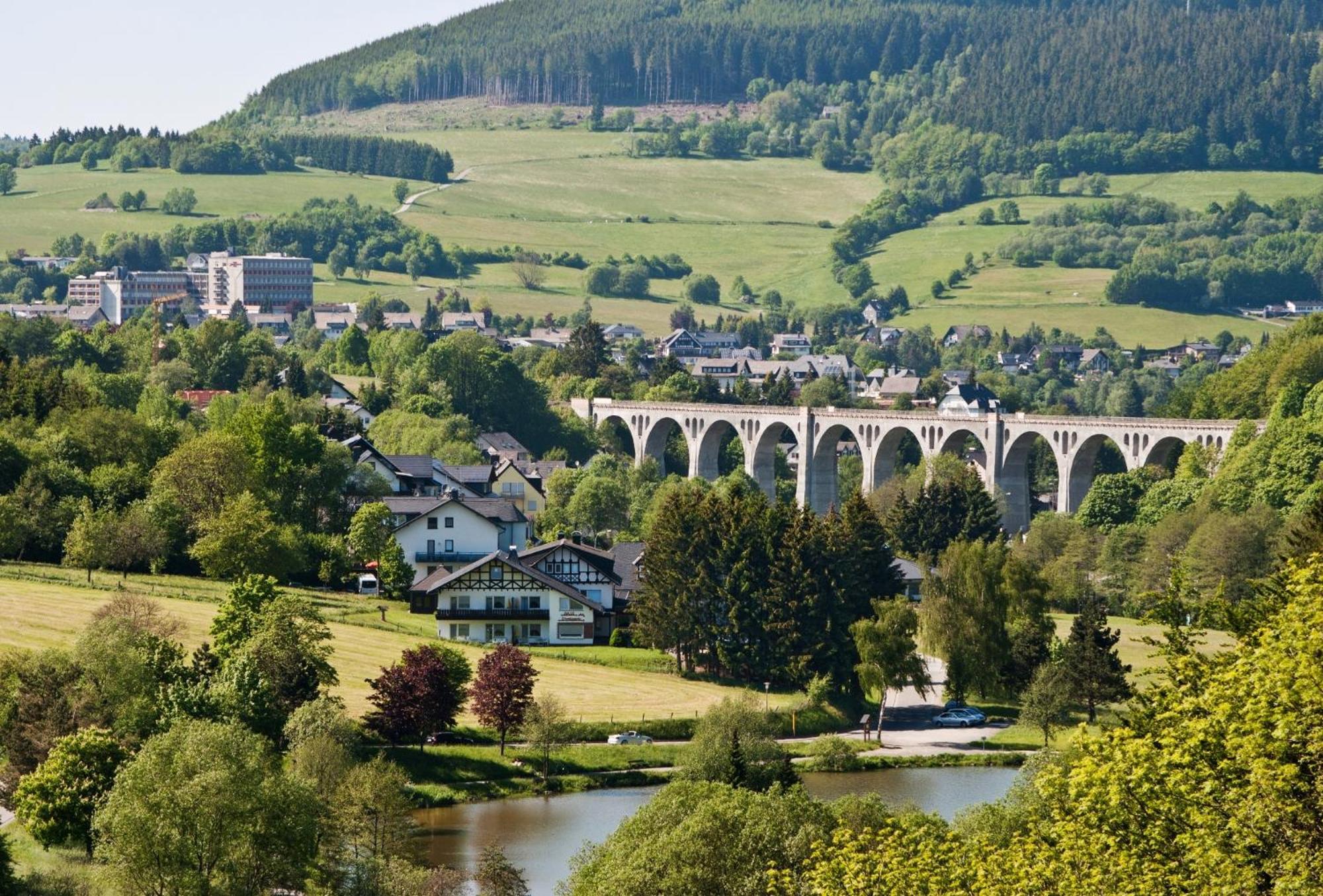 Ferienhaus Diemelquelle - Mit Eingezaeuntem Garten Willingen  Exterior foto